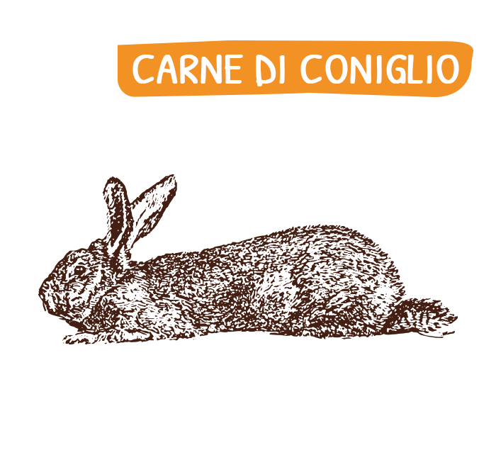 home_carne_coniglio