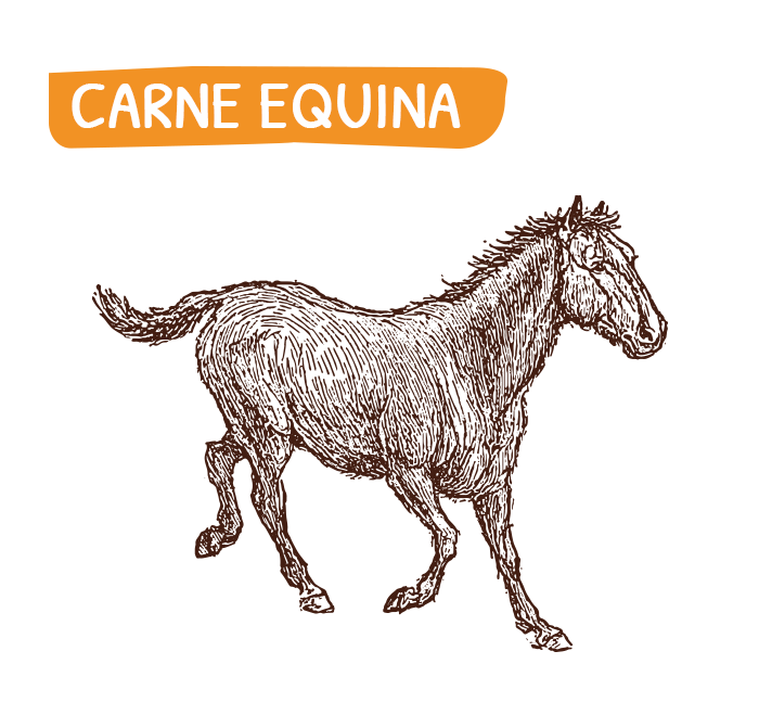 home_carne_equina