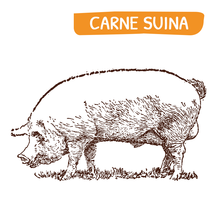 home_carne_suina