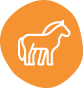 icon__0002_equina