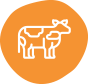 icon__0005_carne-bovina